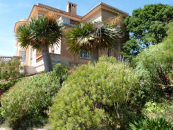The Canary Islands Garden in front of the "Hôtel de la Mer"