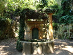 Jardin d'Asie subtropicale