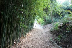 Jardin d'Asie subtropicale
