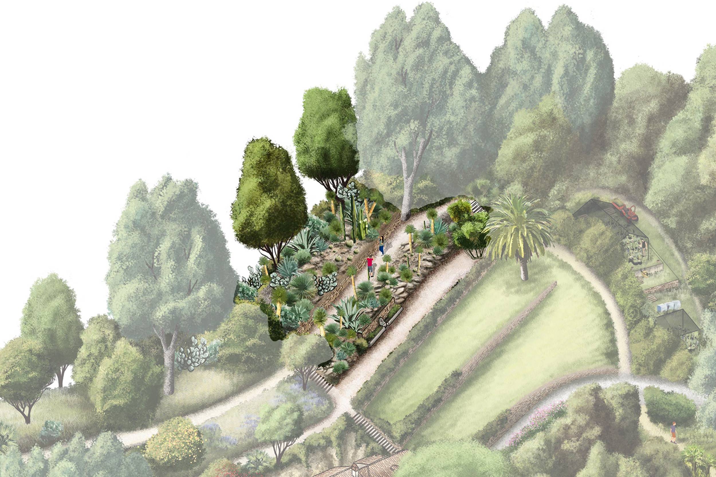 Jardin d'Amérique aride