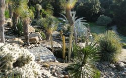 The Jardin d’Amérique aride, (Arid American Garden), a rocky landscape made up of cacti and succulents