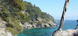 View from the pointe du Figuier