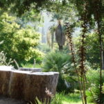 Jardin d'Australie du Domaine du Rayol