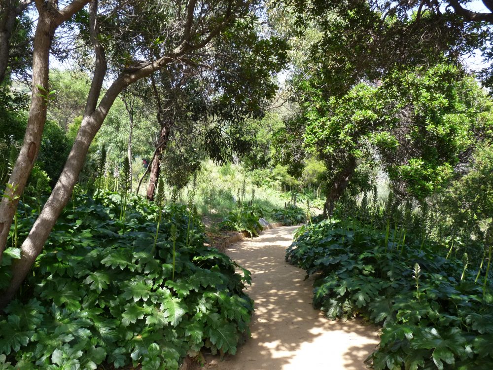 La restauration des sentiers du Jardin