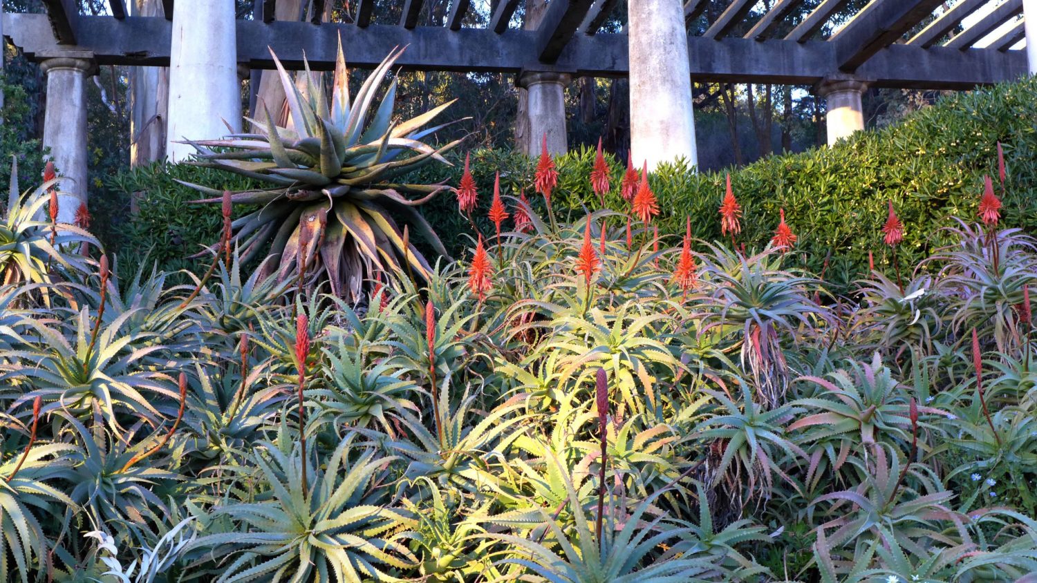 En ce moment au Jardin : l’hiver au Jardin