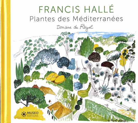 « Plantes des Méditerranées », un livre de Francis Hallé