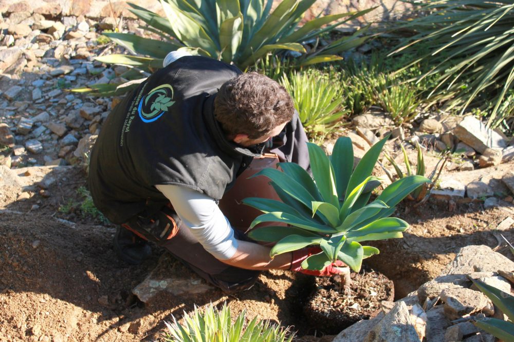 Le conseil des jardiniers : le temps des derniers travaux