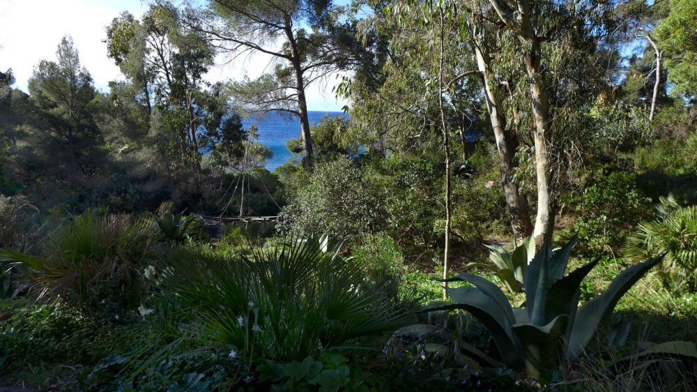 En ce moment au jardin :  dernières plantations et travail d’équipe