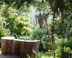Vue depuis le Jardin d'Australie et son tronc d'eucalyptus