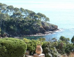 Vue sur la baie du Figuier - Domaine du Rayol
