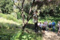 Visite-guidee-au-Domaine-du-Rayol