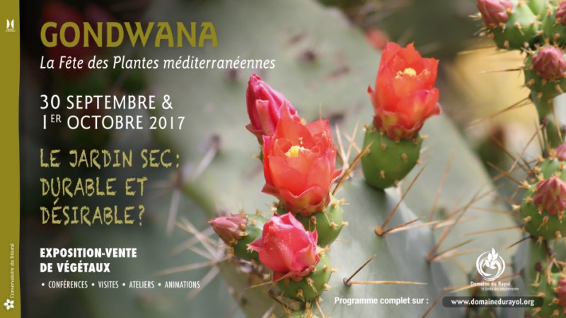 Gondwana, la Fête des Plantes méditerranéennes