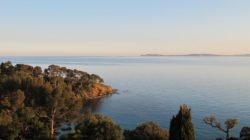 Vue-sur-la-Pointe-du-Figuier-au-Domaine-du-Rayol