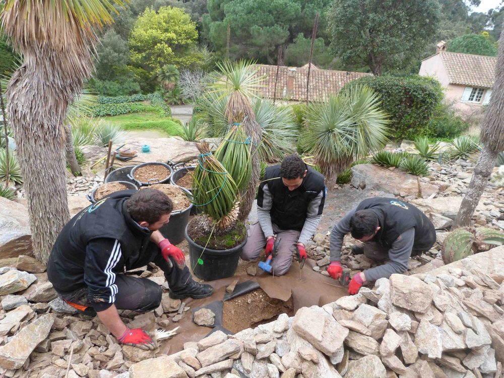 Le conseil des jardiniers : le temps des préparatifs au jardin