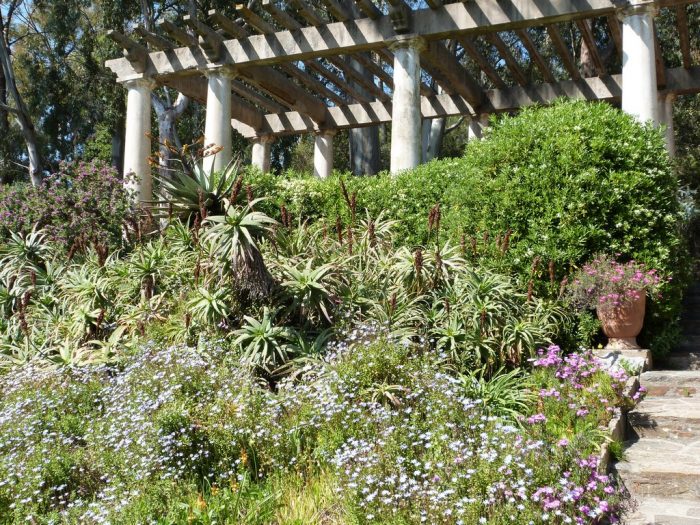 Floraisons multicolores au pied de la Pergola dans le jardin d’Afrique du Sud