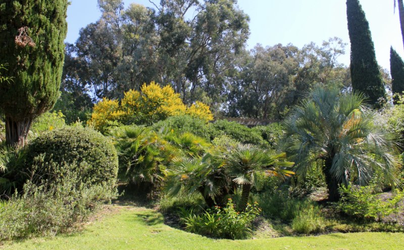 En ce moment au Jardin : l’été est arrivé !