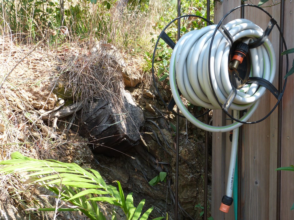 Le conseil des jardiniers : privilégier l’arrosage manuel