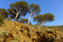 A&F Géologie