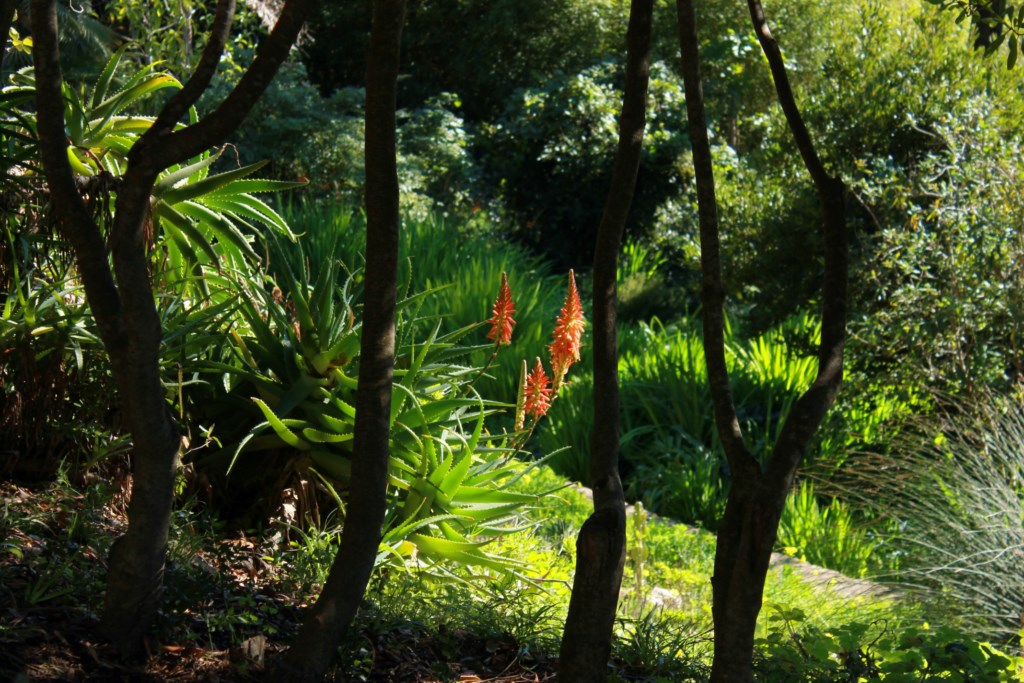 Le conseil des jardiniers : jouer avec la lumière