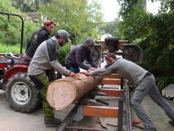 Découpe des planches