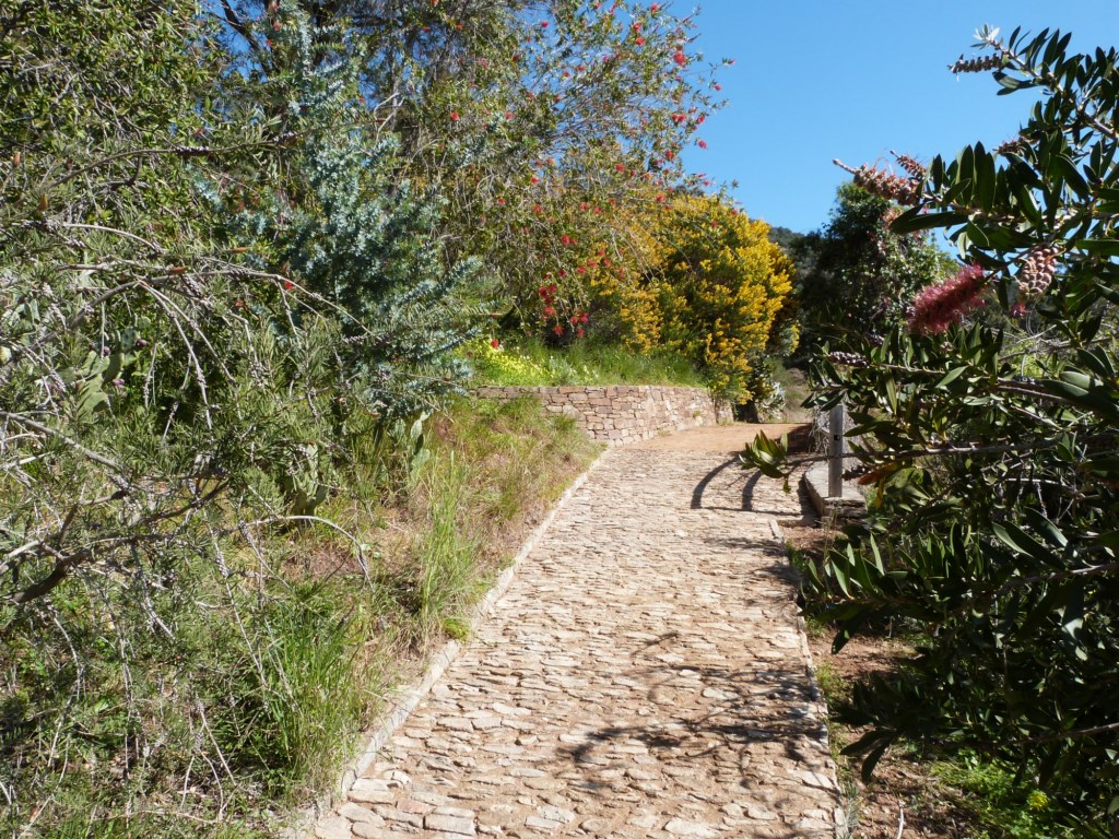 En ce moment au jardin : réfection des chemins et dernières plantations