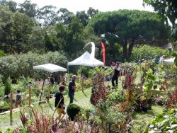 Gondwana, la Fête des Plantes méditerranéennes