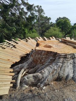 Le nouveau belvédère en construction