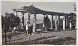 Thérèse devant la pergola, 20 avril 1919