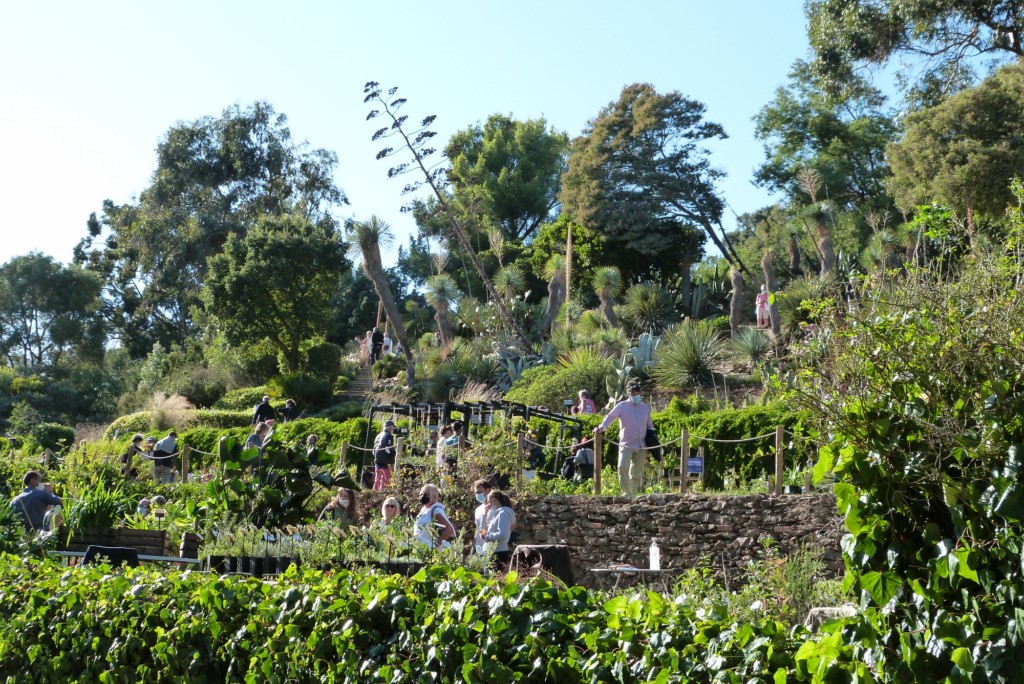 Retour sur Gondwana 2020, la Fête des Plantes méditerranéennes