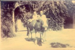 Etienne Gola posant avec un de ses enfants et sans doute la vache « Taupinette » devant la ferme