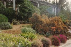 "Jardin-témoin" d'Afrique du Sud