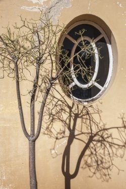 Fissures en façade de l'Hôtel de la Mer