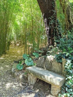 Jardin d'Asie subtropicale