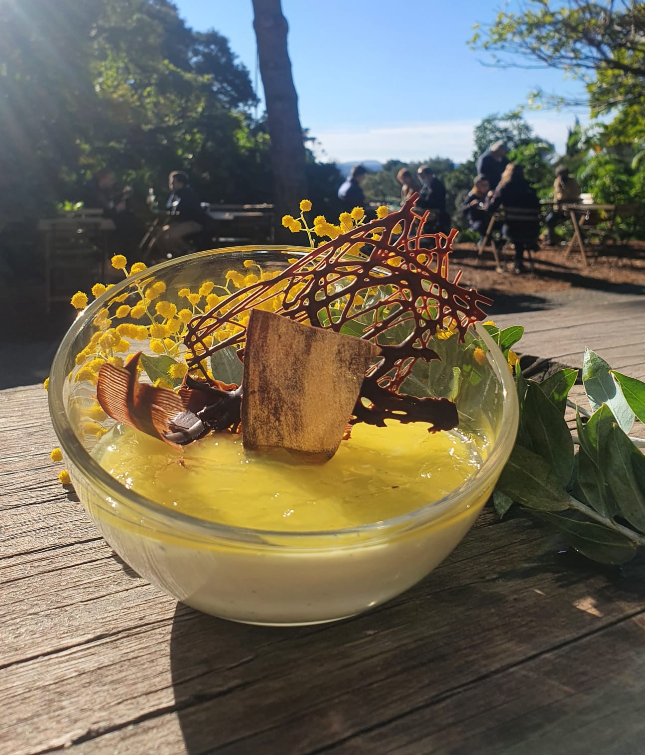Recette du Café des Jardiniers : La gelée de mimosa
