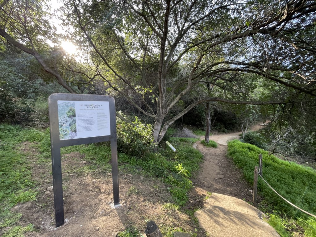 Le sentier botanique du maquis