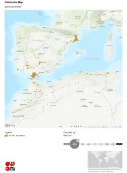 Carte de distribution Quercus canariensis