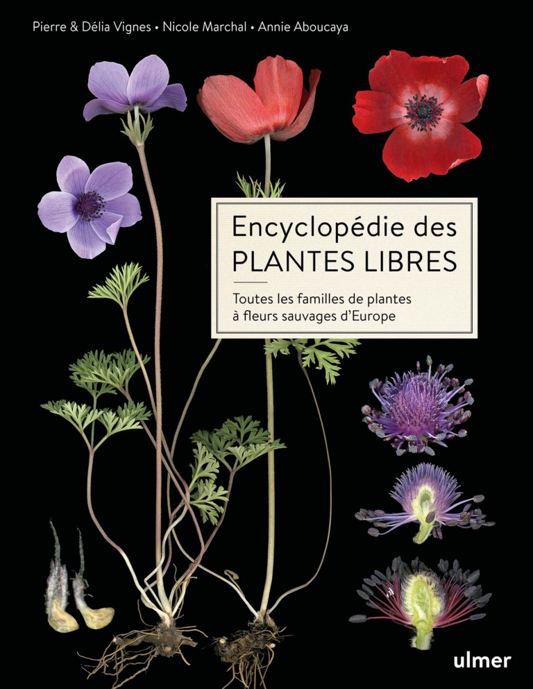 Le livre du moment : Encyclopédie des plantes libres – Toutes les familles de plantes à fleurs sauvages d’Europe