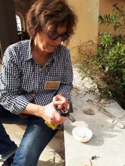 Nada Zeineh, Domaine du Rayol, octobre 2022