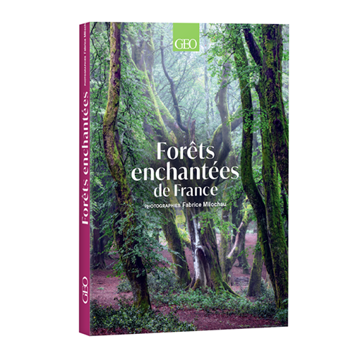 Le livre du moment : Forêts enchantées de France