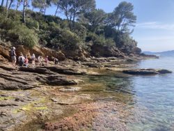 Les pieds dans l'eau