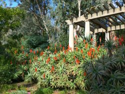 Portes Ouvertes 2024