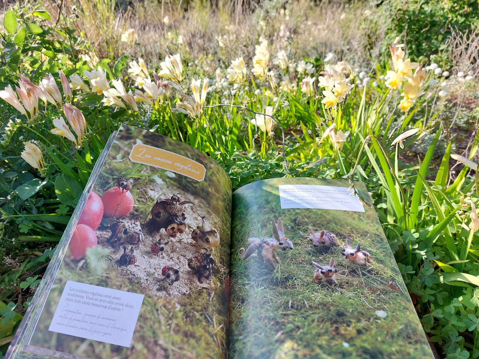 Le livre du moment : Le Land-art de poche – Des êtres de nature