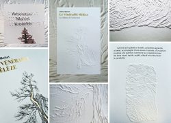 Le vénérable mélèze