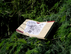 Carnet immersion chez Gilles Clément