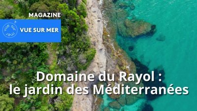 « Vue sur mer » au Domaine du Rayol