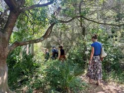 RDV aux jardins 2025