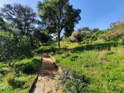 Jardin du Chili en hiver