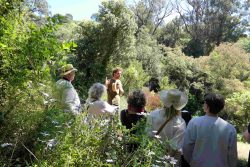 La visite du jardinier