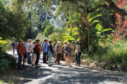 Visite-guidee-au-Domaine-du-Rayol